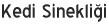 Kedi Sinekli�i
